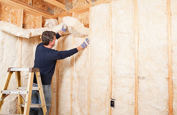 Best Pipe and Duct Insulation  in Cedar Hill, TX